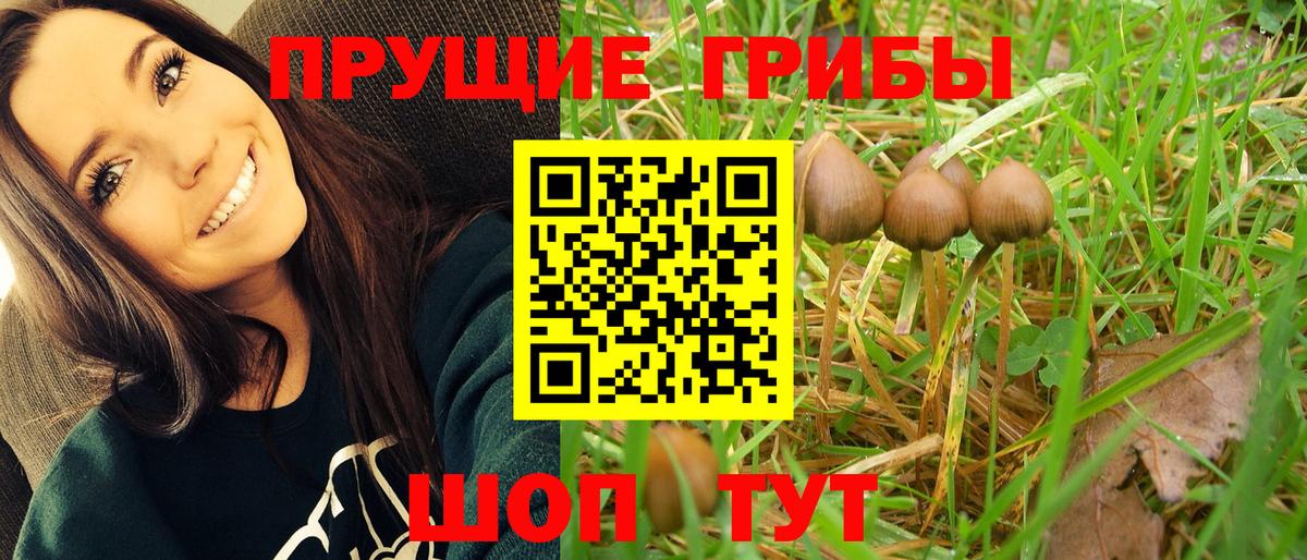 Галлюциногенные грибы MAGIC MUSHROOMS Гагарин