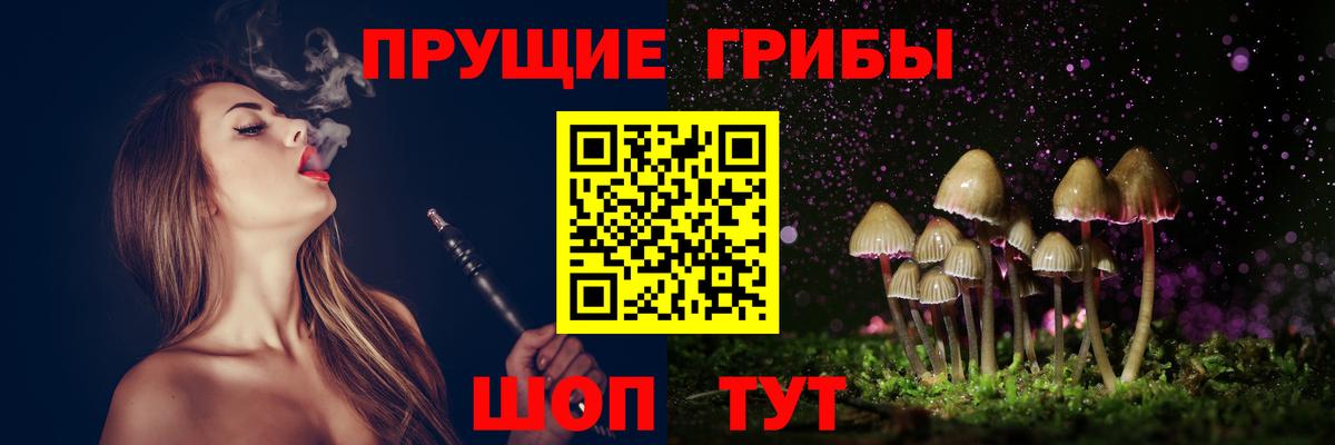Галлюциногенные грибы GOLDEN TEACHER  купить  цена  Гагарин  Вход с VPN 